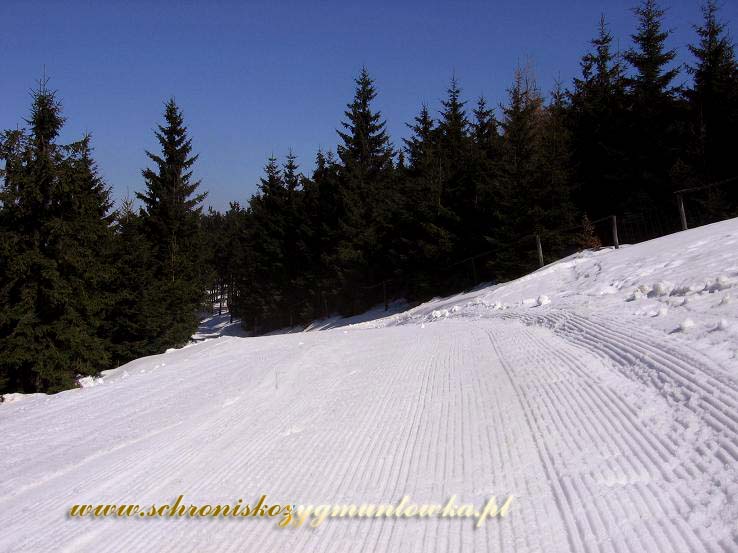 Obok  schroniska Zygmuntówka - stok narciarski okrężny na Rymarzu.